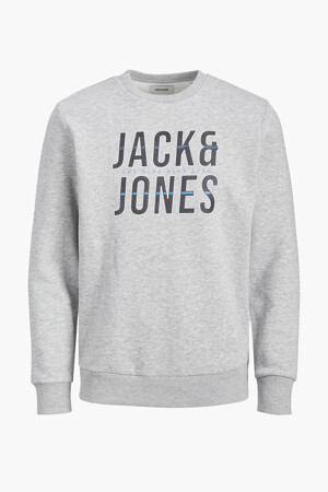 Dames - JACK & JONES - Sweater - grijs - Hoodies & Sweaters - grijs