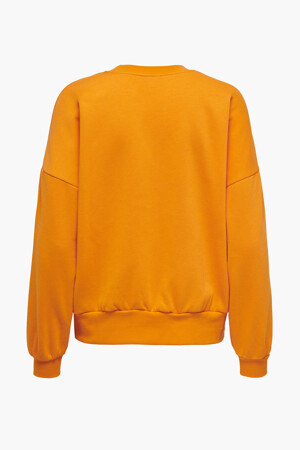 Dames - ONLY® - Sweater - oranje - Hoodies & Sweaters - oranje