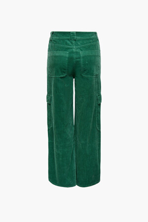 Femmes - NEON & NYLON - Pantalon - vert - Pantalons - GROEN