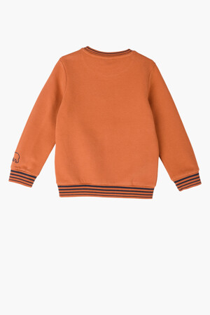 Dames - S. Oliver - Sweater -oranje - S. OLIVER - oranje