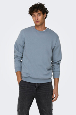 Heren - ONLY & SONS® -  - Hoodies & sweaters - 