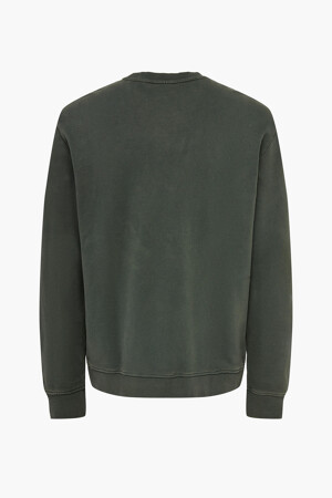 Dames - ONLY & SONS® - Sweater - groen - Sweaters - GROEN