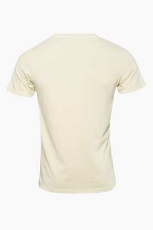 Femmes - SCALPERS - T-shirt - vert - Nouveautés - GROEN
