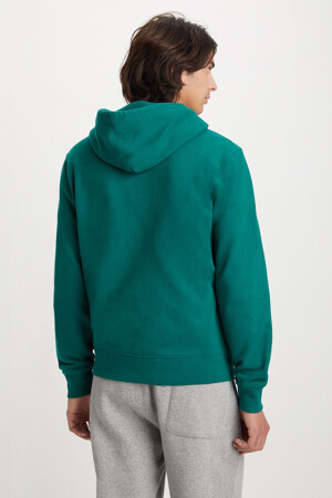 Heren - Levi's® - Sweater - groen - Sweaters - GROEN