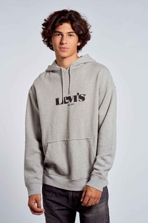 Dames - Levi's® - Sweater - grijs -  - grijs