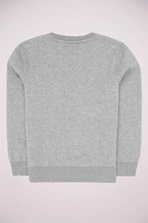 Dames - Levi's® - Sweater - grijs -  - grijs