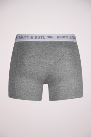 Femmes - Bruce & Butler - Boxers - gris - Sous-vêtements - GRIJS