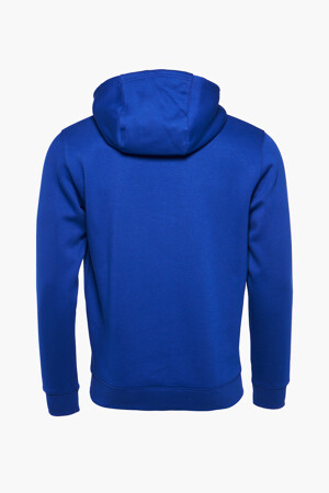 Dames - Tommy Jeans - Sweater - multicolor - Kleding - blauw