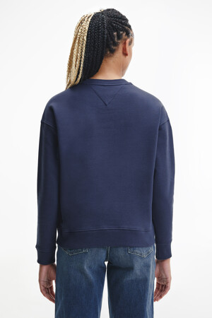 Dames - TOMMY JEANS - Sweater - blauw - nieuwe collectie - BLAUW