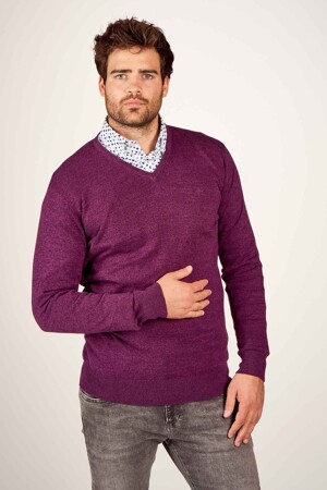 Femmes - Haze & Finn - Pull - bordeaux - Haze & Finn - bordeaux