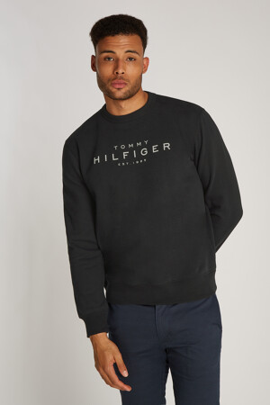 Dames - Tommy Hilfiger -  - Hoodies & Sweaters - 