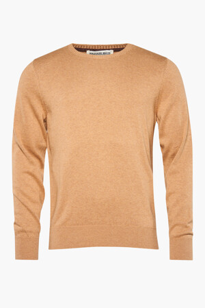 Hommes - PRIVATE BLUE - Pull - beige - Soldes - beige
