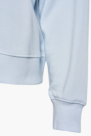 Dames - Guess® - Sweater - blauw - Hoodies & Sweaters - blauw